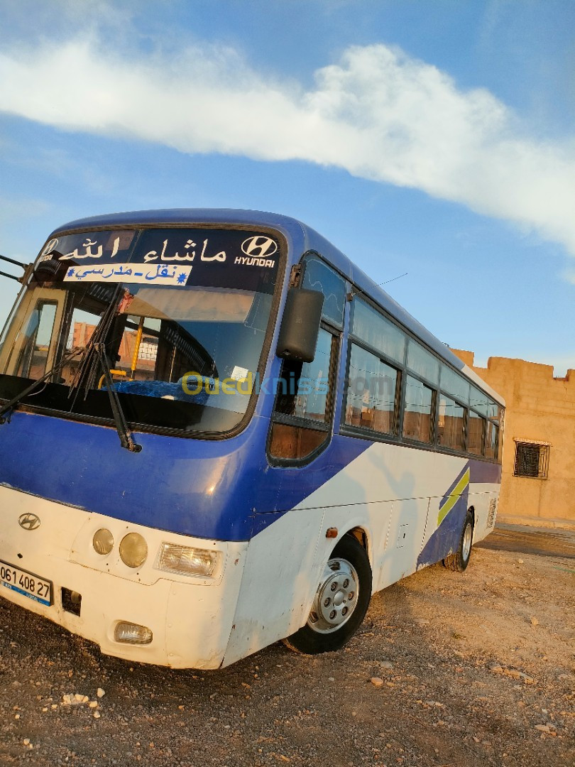 Hyundai Aerotown 2008