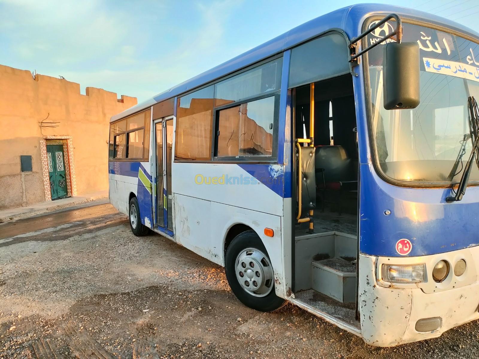 Hyundai Aerotown 2008