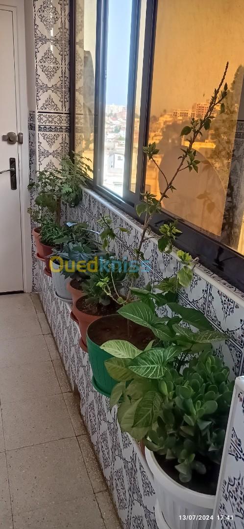 Vente Appartement F3 Alger El biar