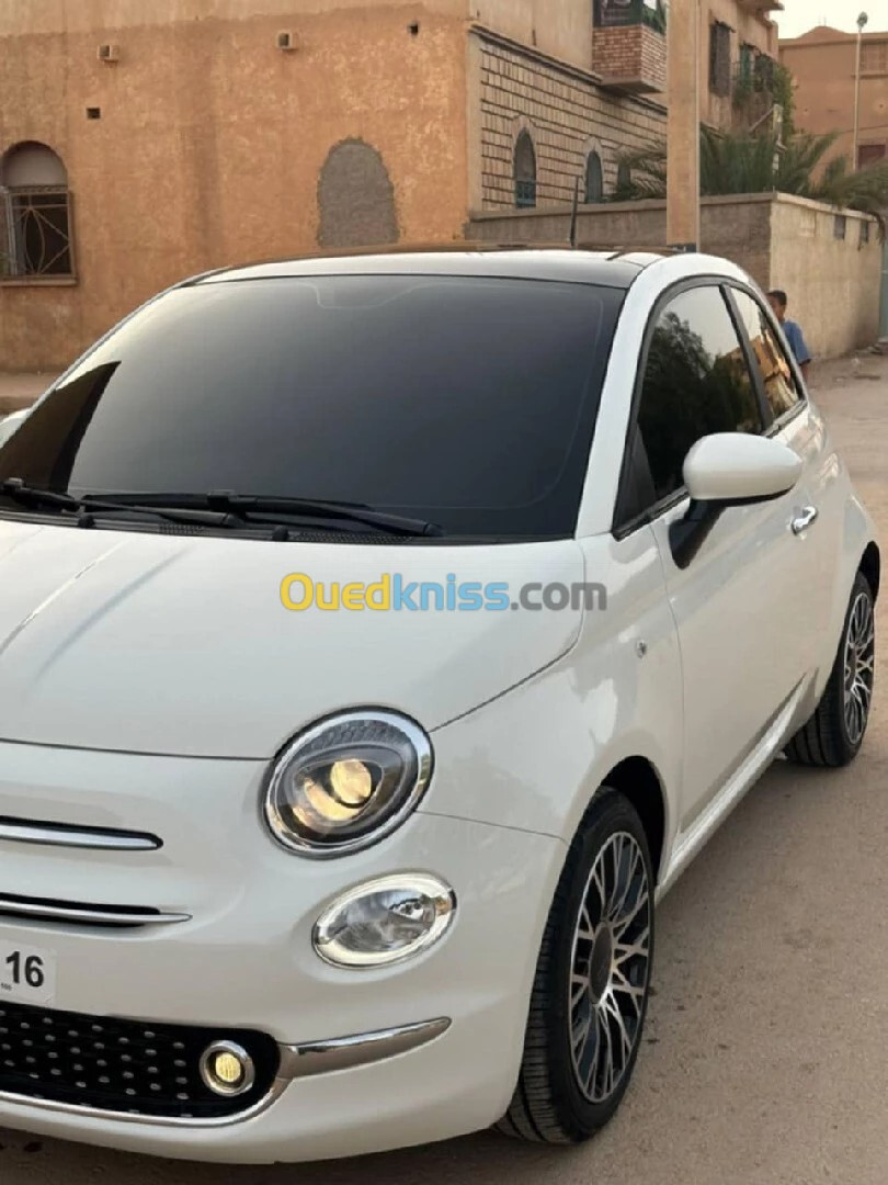 Fiat 500 2024 Dolchifita