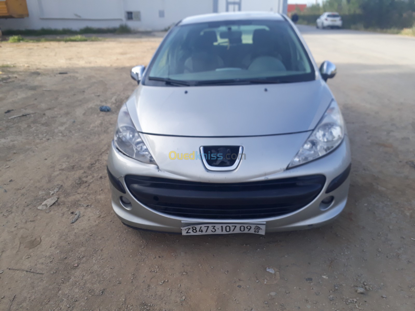 Peugeot 207 SW 2007 207 SW