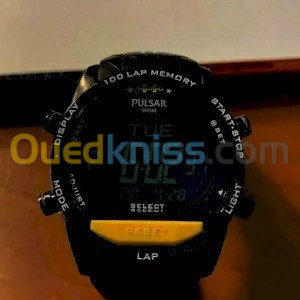 Pulsar PV4005X1 men's watch