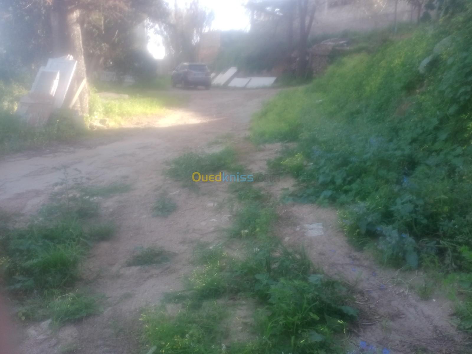 Vente Terrain Alger Bouzareah