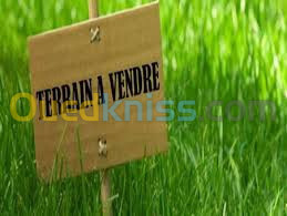 Vente Terrain Oran El braya