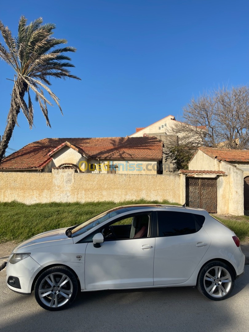 Seat Ibiza 2011 Ibiza