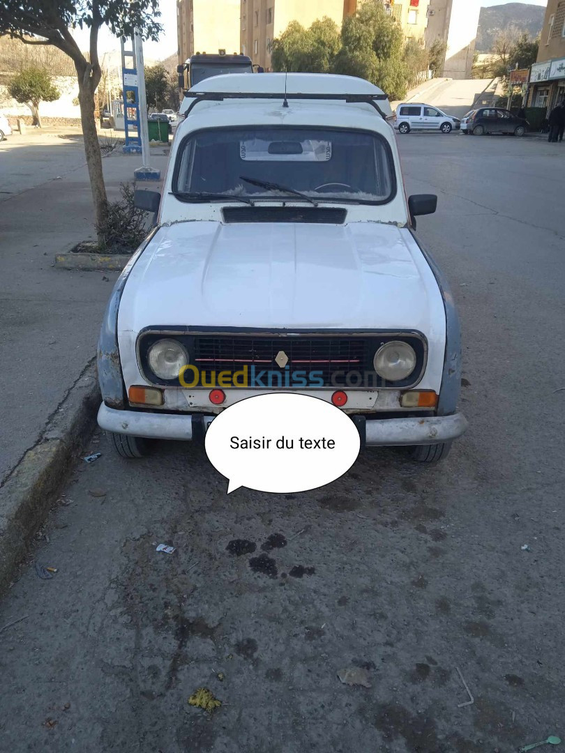 Renault 4 1974 4