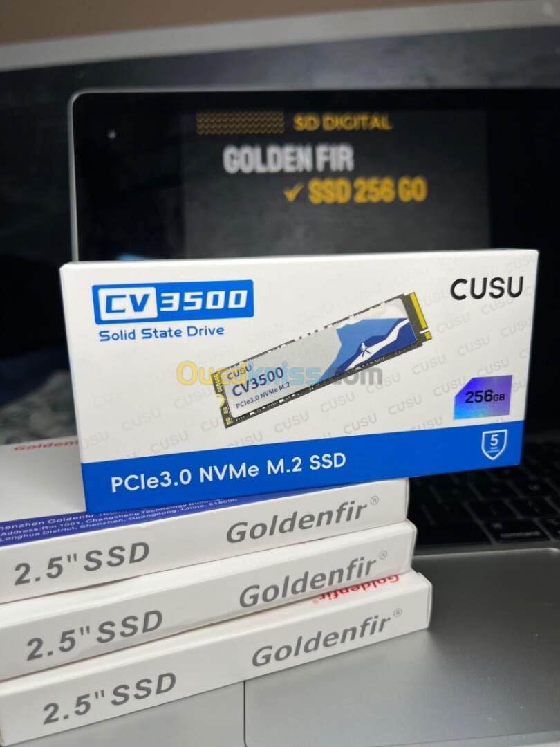 SSD 256 GO Golden Fir