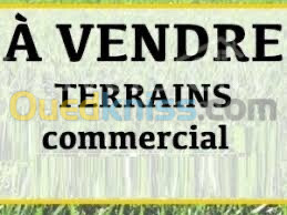 Vente Terrain Médéa Tablat