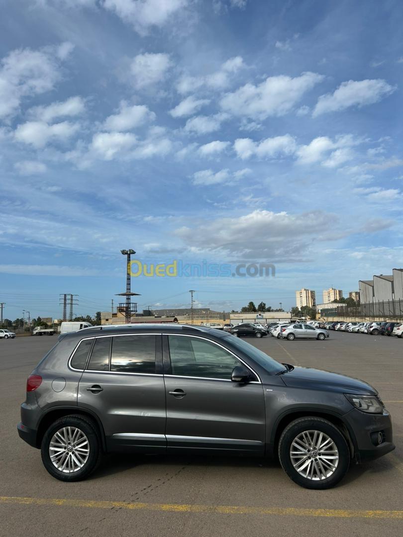 Volkswagen Tiguan 2014 Cup