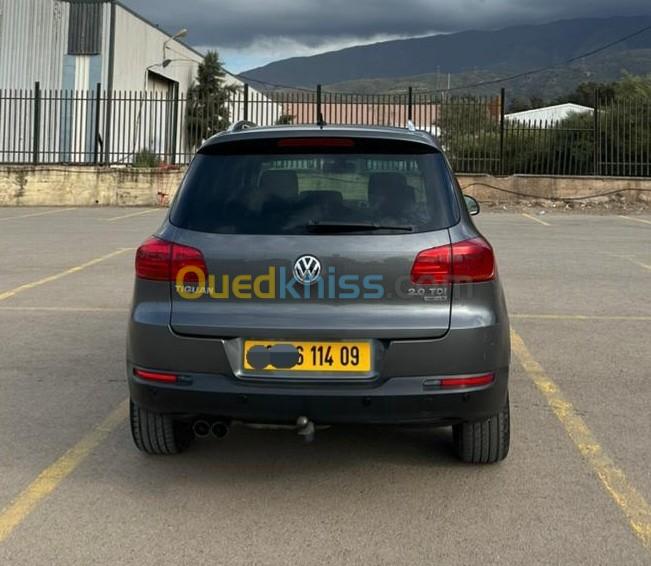 Volkswagen Tiguan 2014 Cup