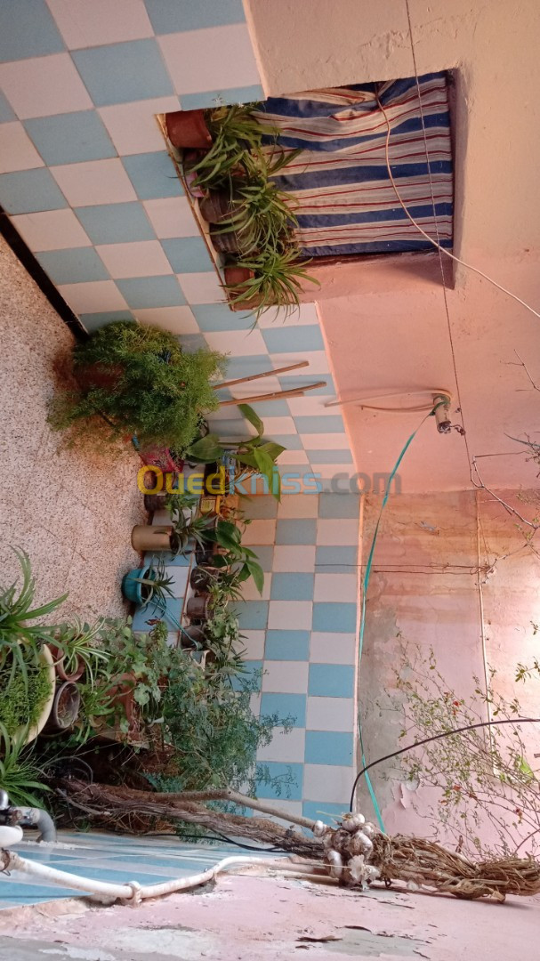 Vente Villa Tiaret Frenda