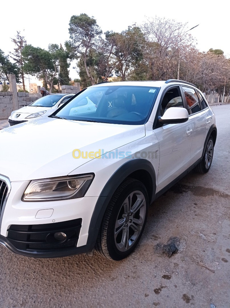 Audi Q5 2013 Offroad