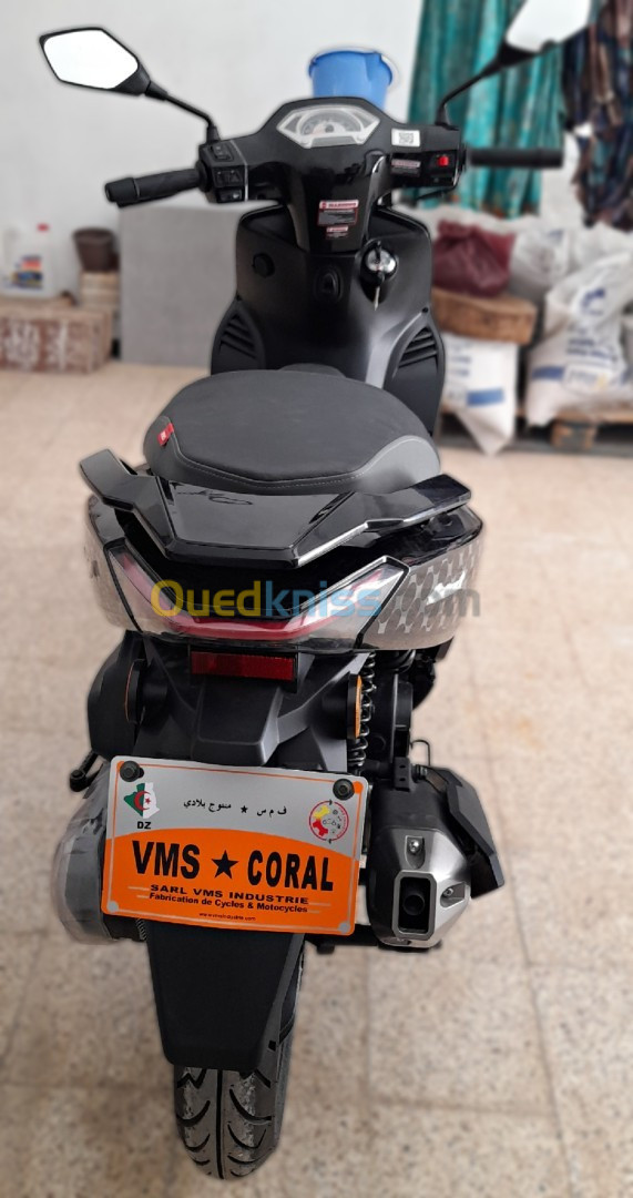 VMS TWISTER CORAL VMS 2023