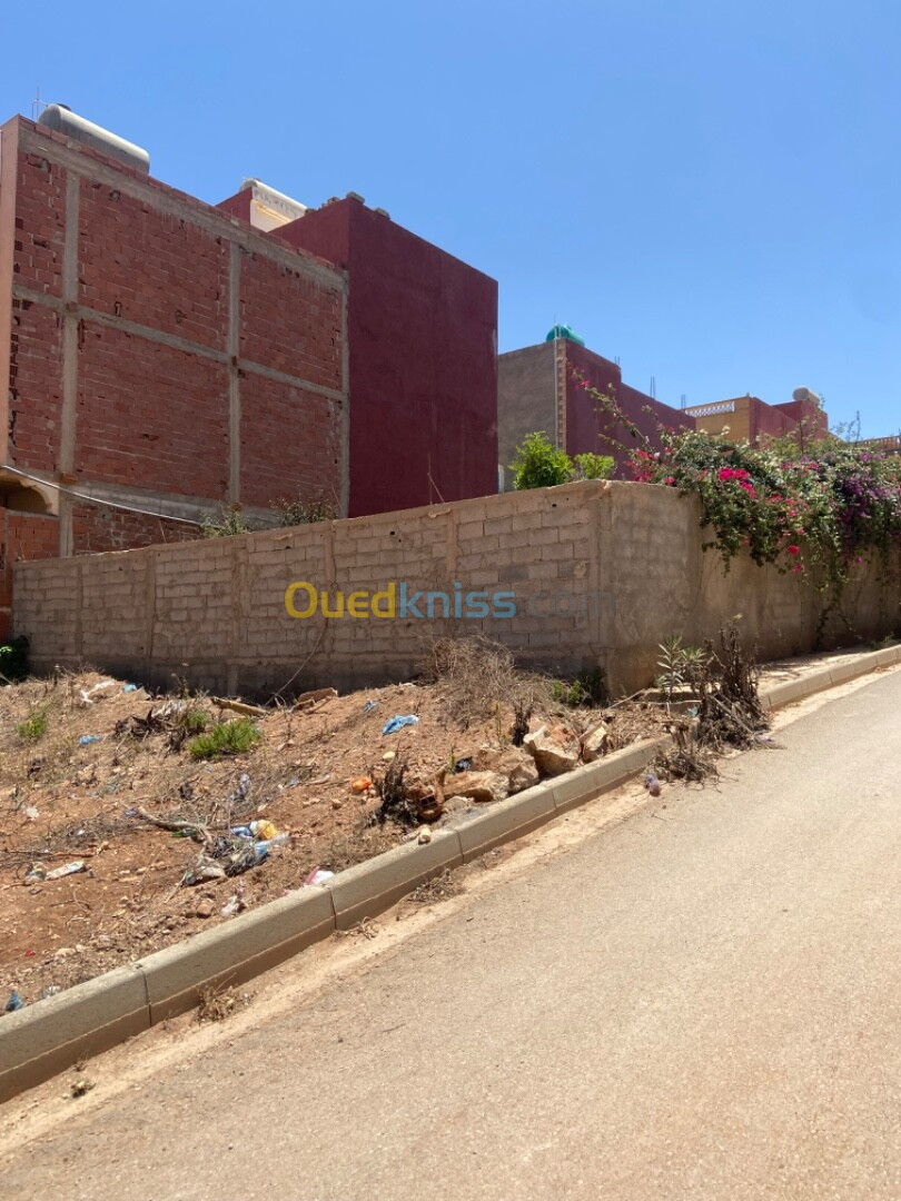 Vente Terrain Tlemcen Marsa ben mhidi