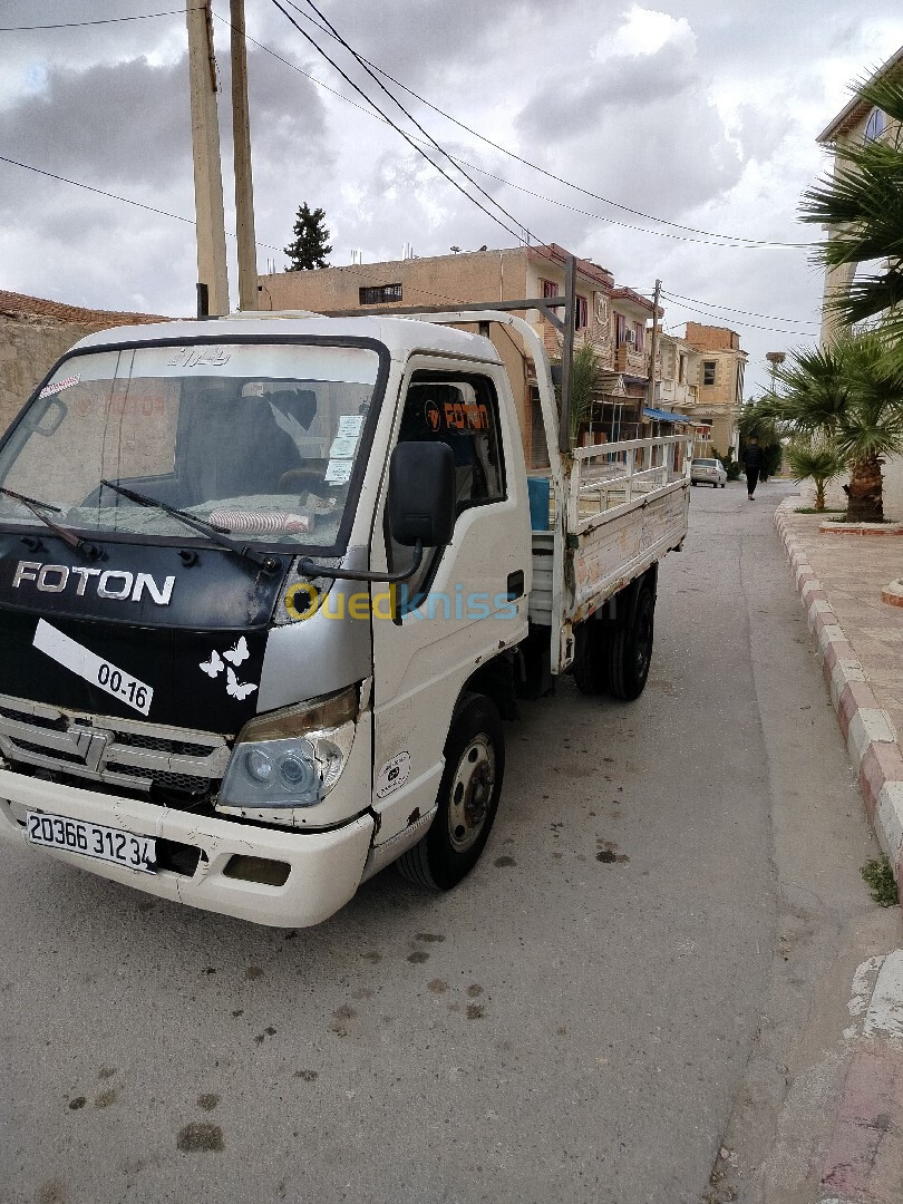 1036 FOTON 2012