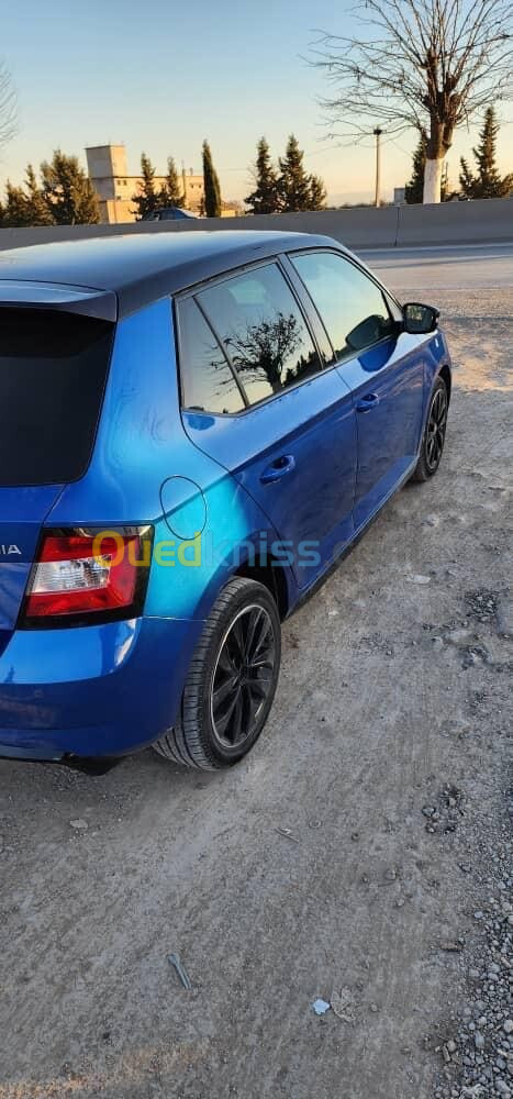 Skoda Fabia 2019 Monte Carlo