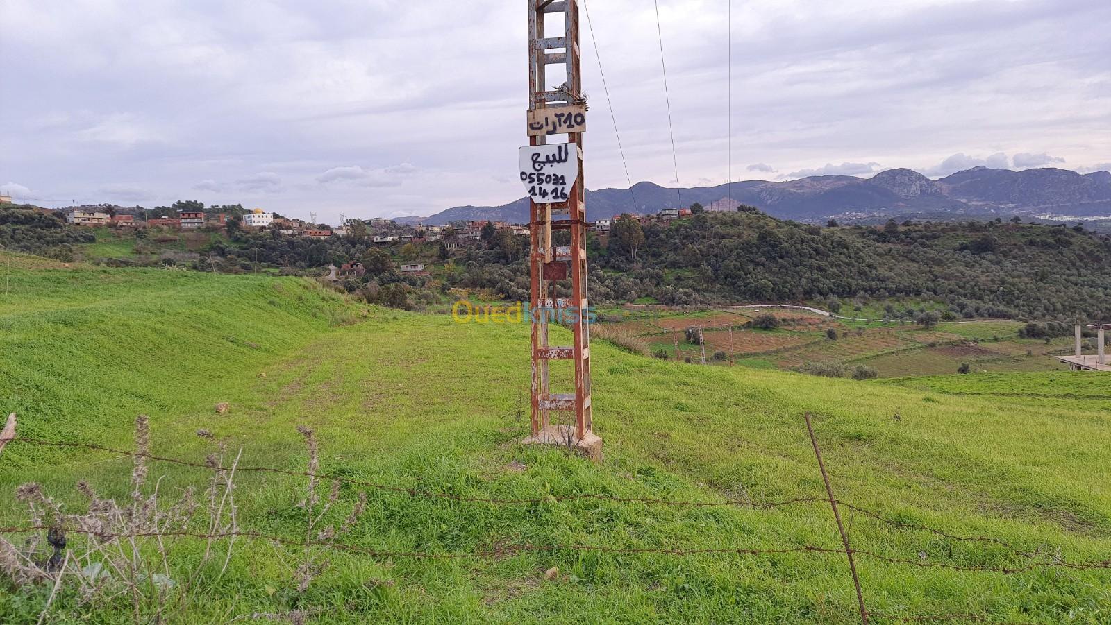 Vente Terrain Boumerdes Keddara