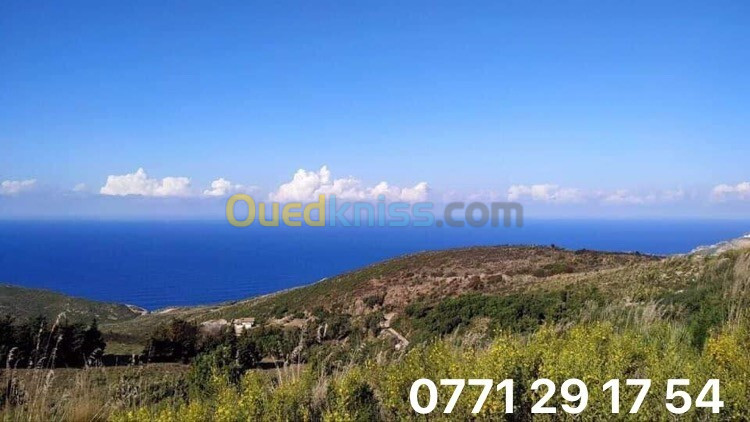 Vente Terrain Annaba Annaba