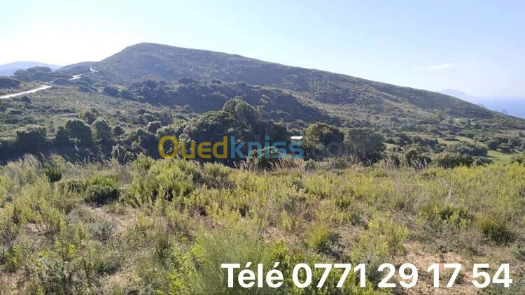 Vente Terrain Annaba Annaba