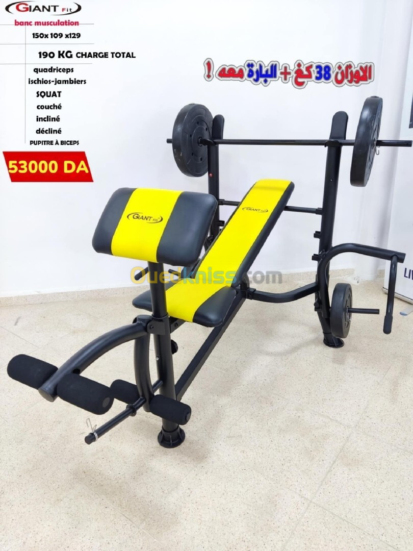 BANC DE MUSCULATION ET POIDS GIANT FIT GF102