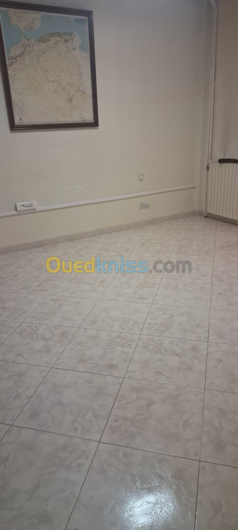 Location Appartement F14 Alger Dely brahim