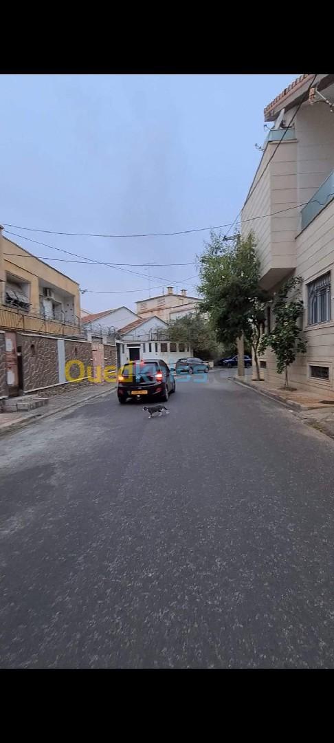 Vente Villa Sidi Bel Abbès Sidi bel abbes