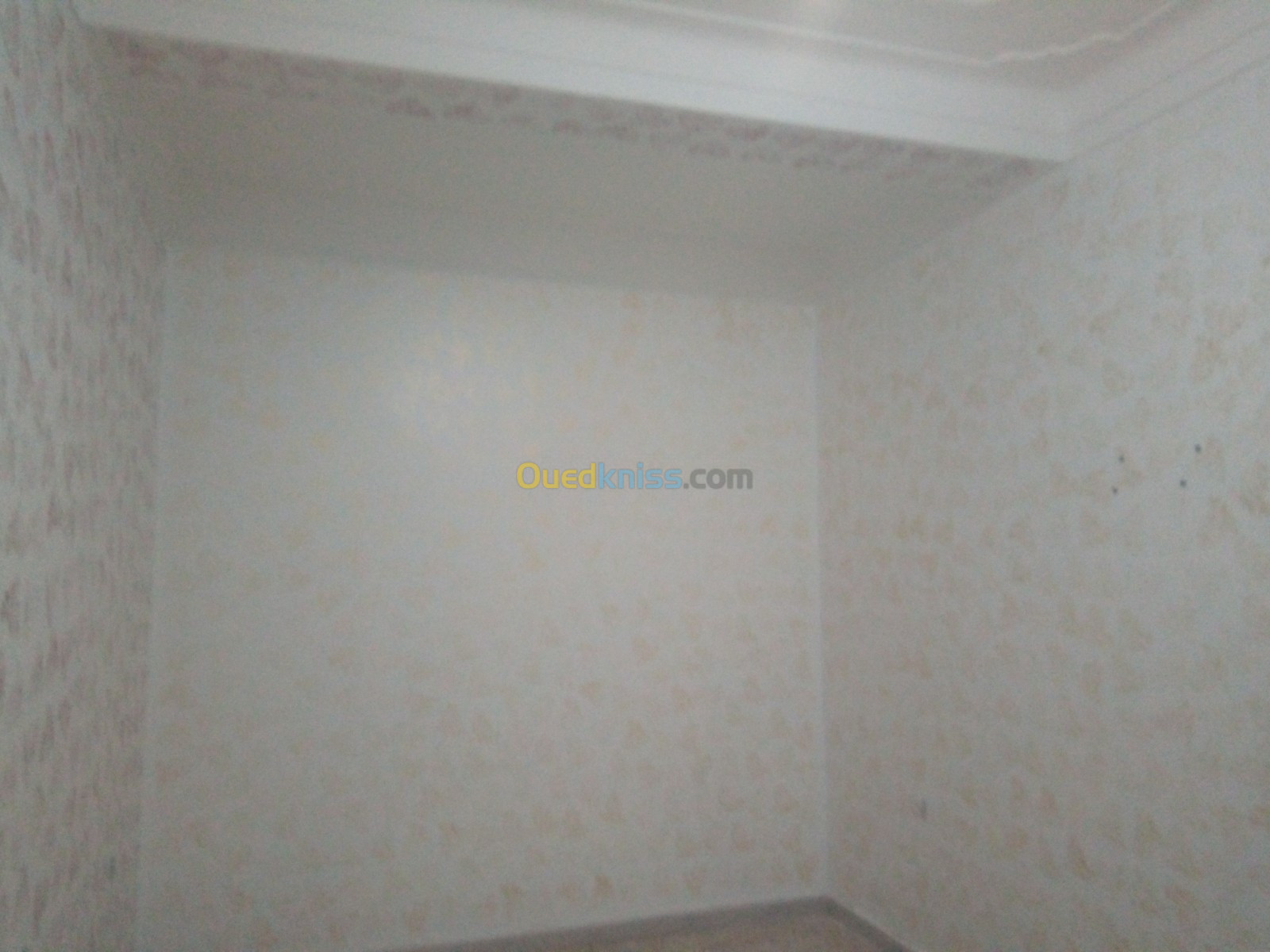 Location Niveau De Villa F2 Blida Chiffa