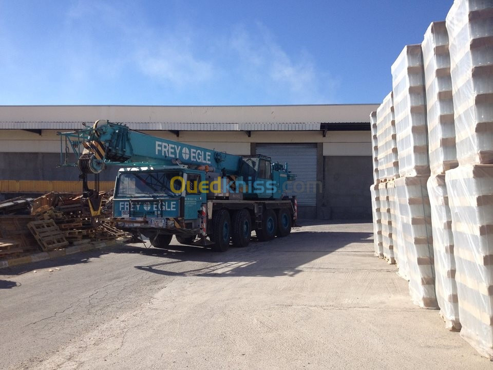 LOCATION ET VENTE Grue Liebherr LTM 1120 Liebherr 1996