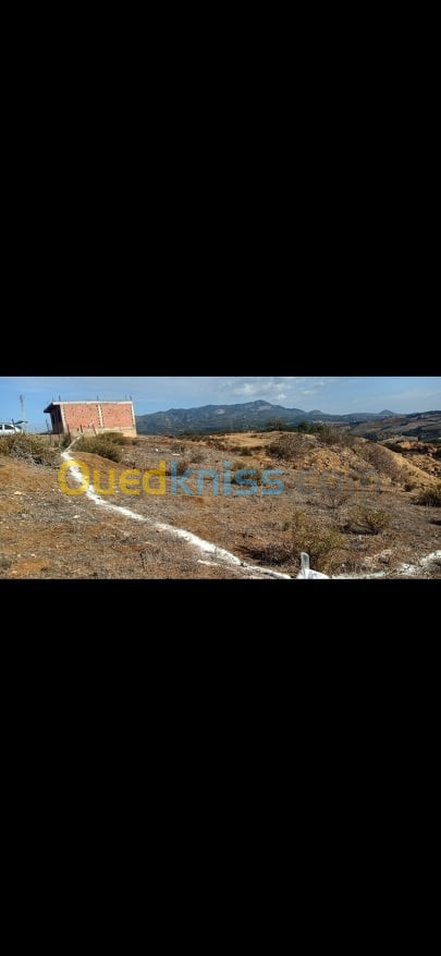 Vente Terrain Tipaza Sidi amar