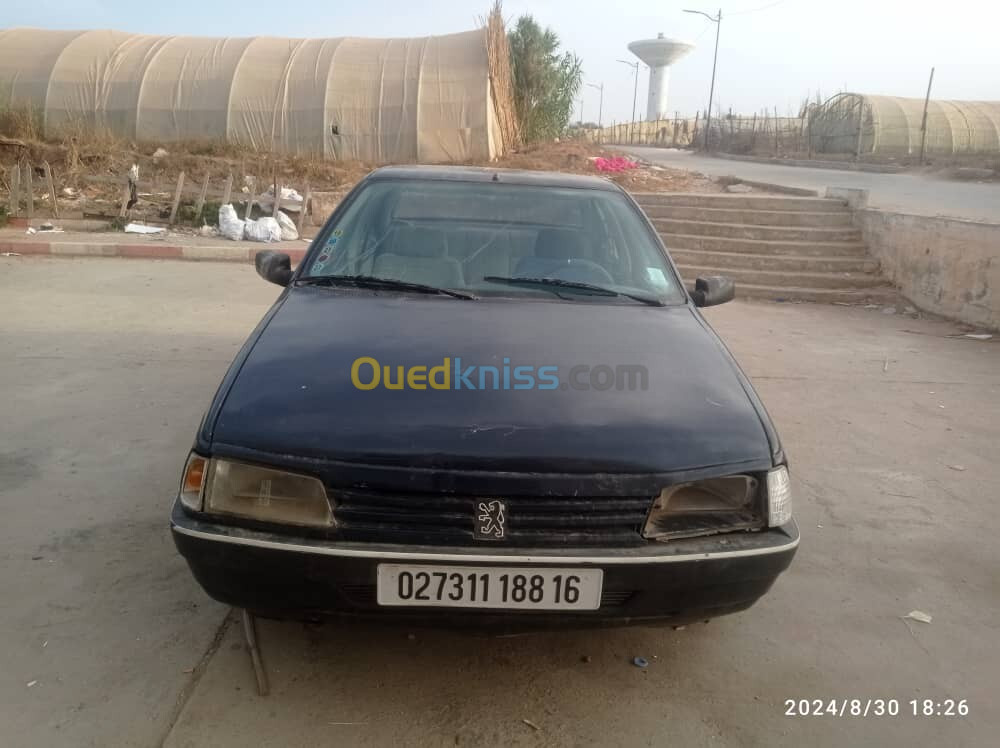 Peugeot 405 1988 405