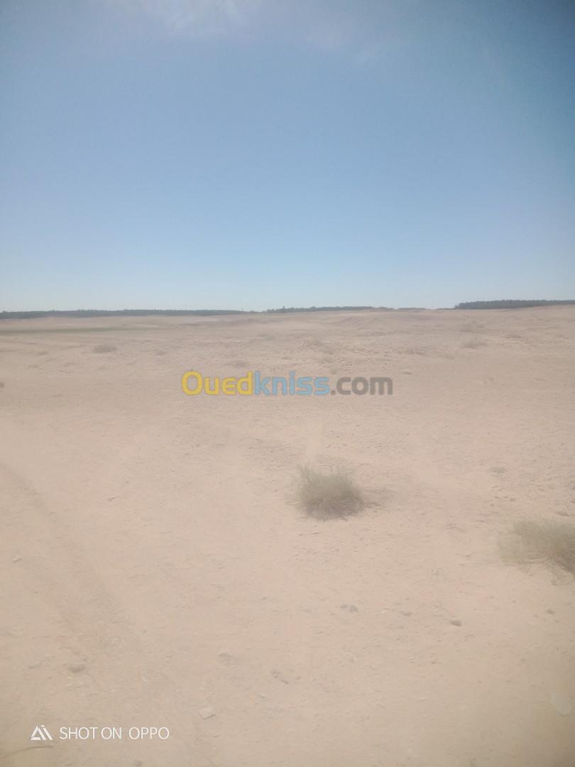 Vente Terrain Biskra Lioua