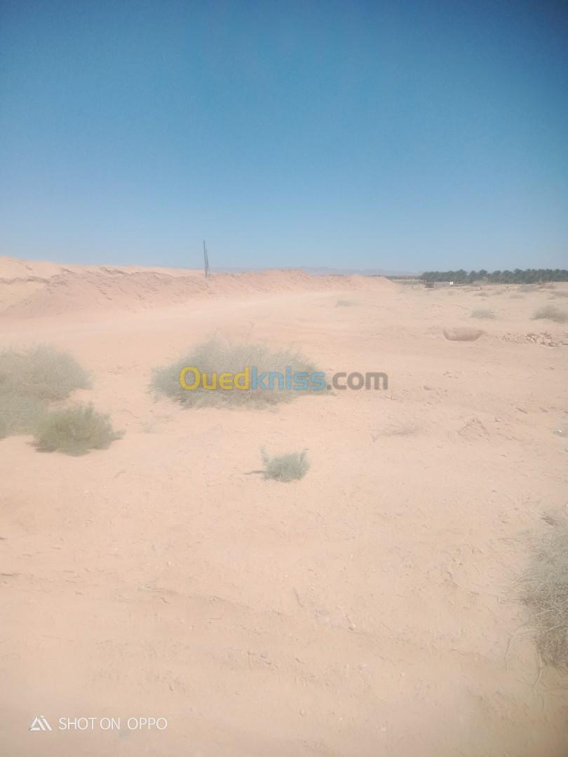 Vente Terrain Biskra Lioua