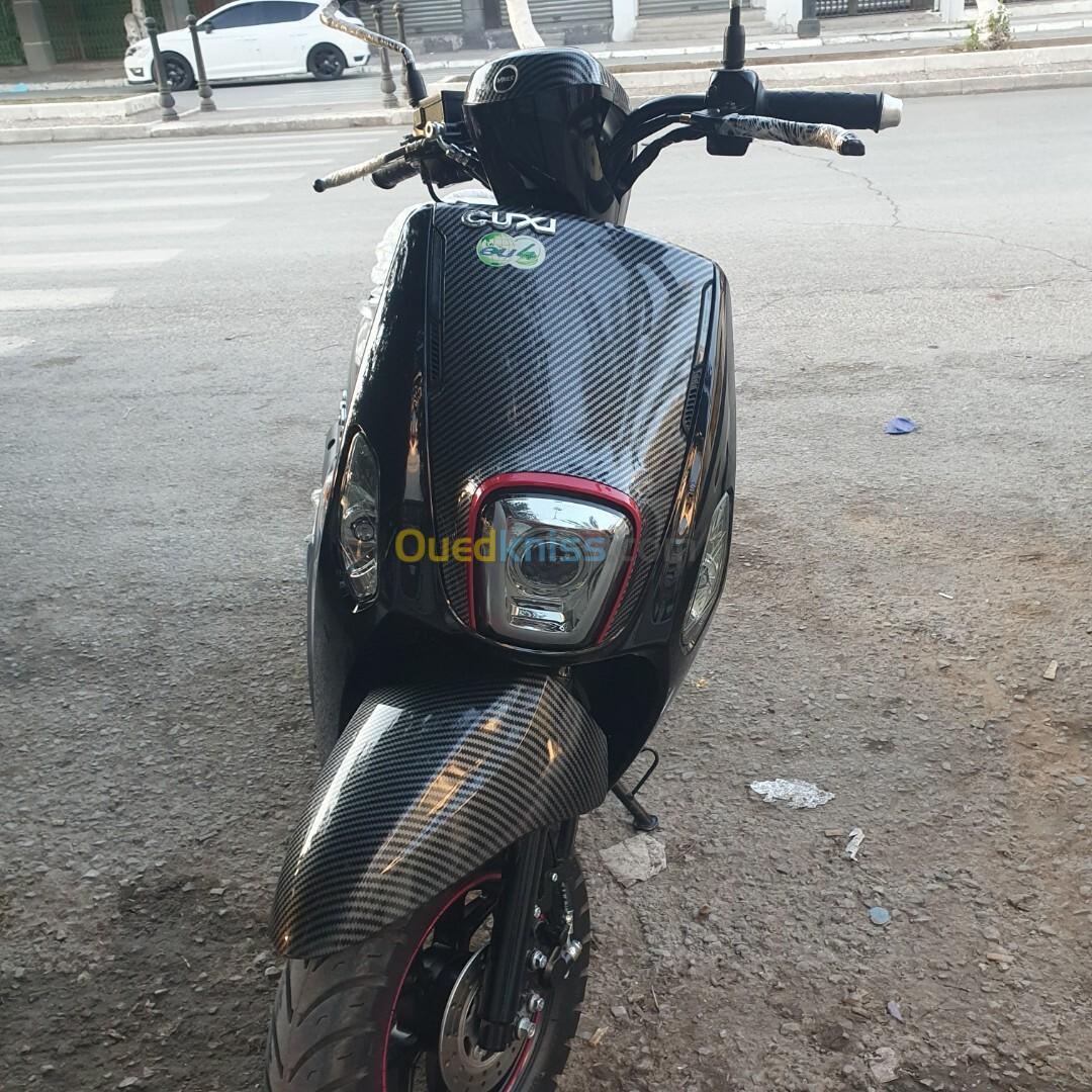 Yamahap Couxi 2 yamaha 2024