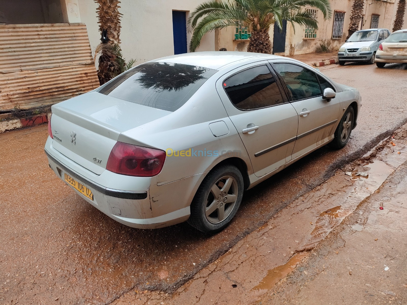 Peugeot 407 2006 407