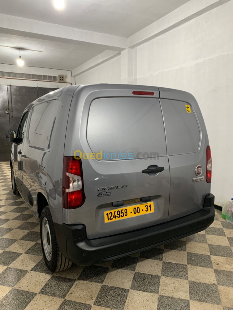 Fiat Doblo 2024 Professional