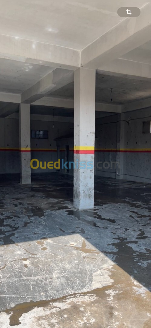 Vente Hangar Sétif Setif