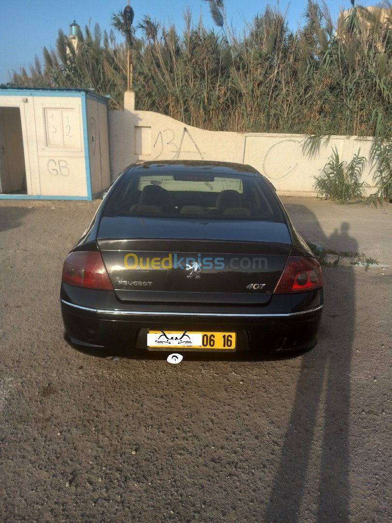 Peugeot 407 2006 