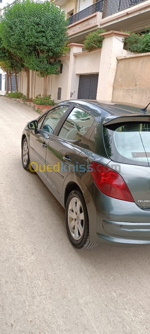 Peugeot 207 2008 Premium