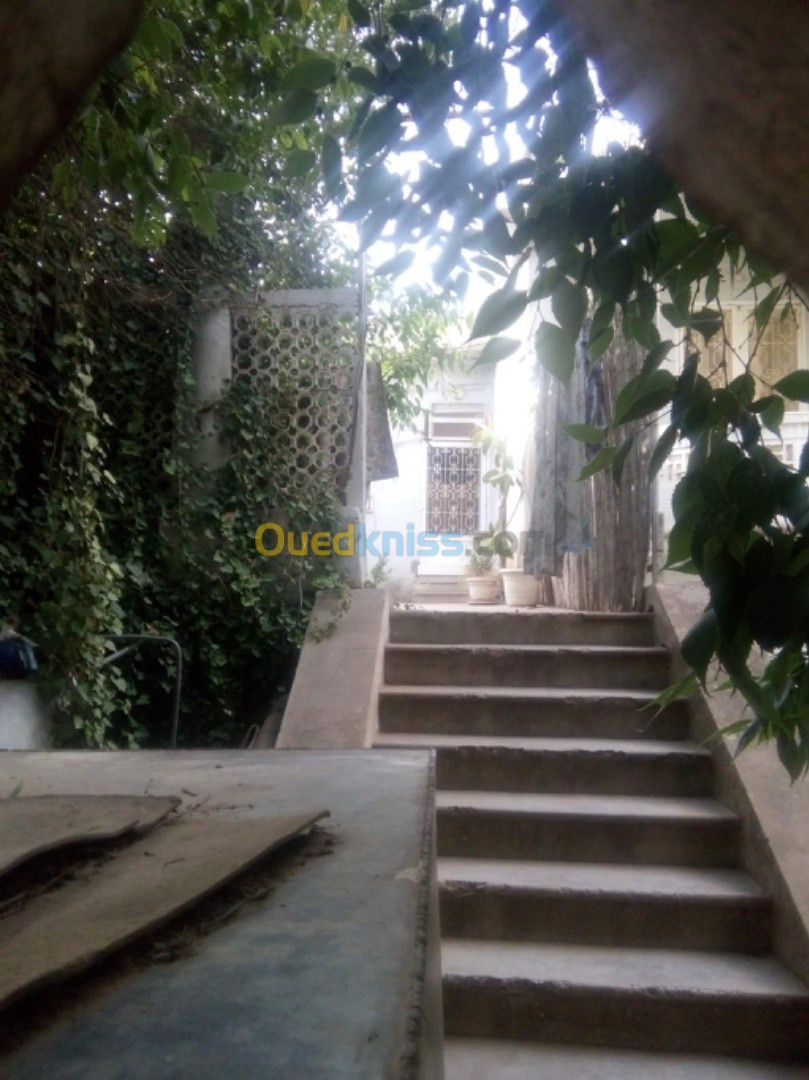 Vente Villa Tlemcen Mansourah