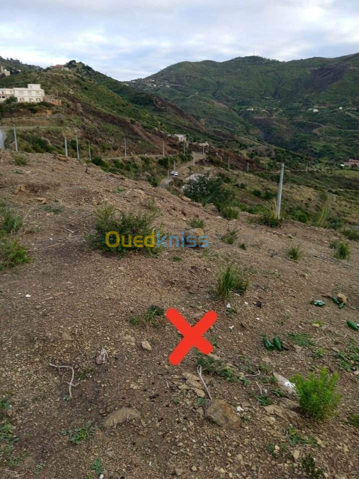 Vente Terrain Tizi ouzou Azeffoun