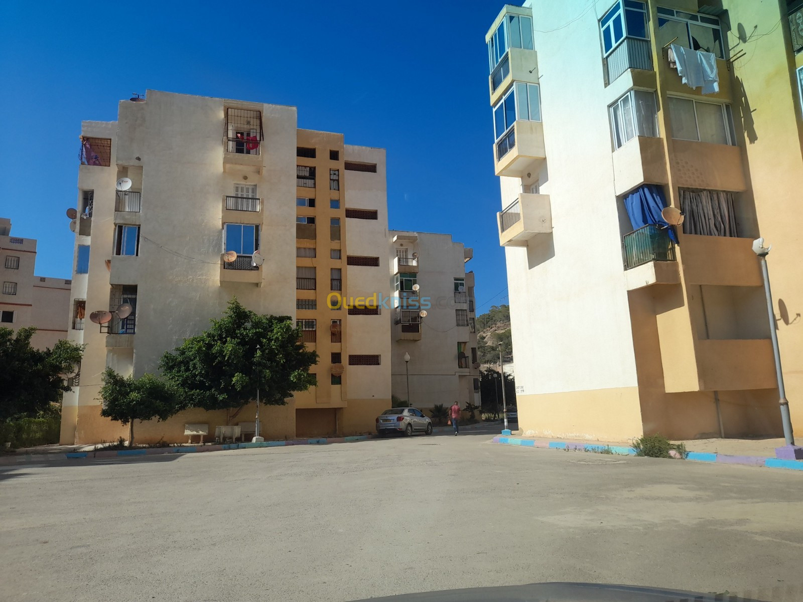 Location Appartement F03 Chlef Tenes