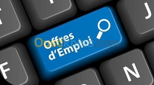 Offres d'emploi 