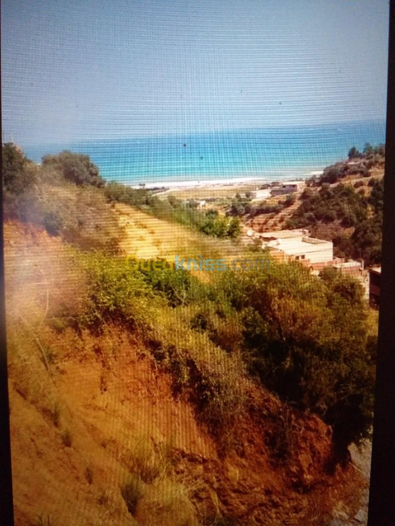 Vente Terrain Béjaïa Boukhelifa