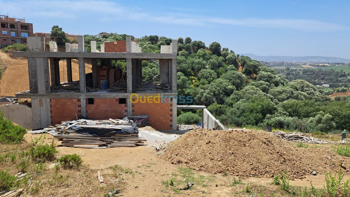 Vente Terrain Boumerdès Tidjelabine