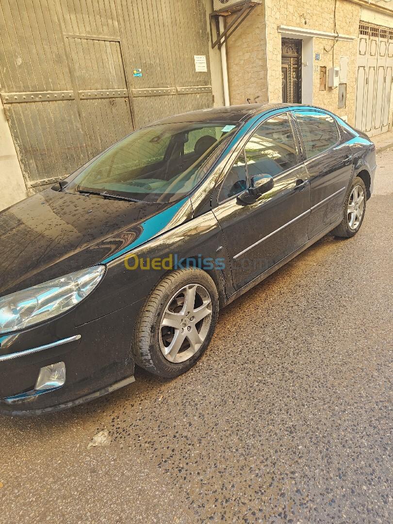 Peugeot 407 2009 407