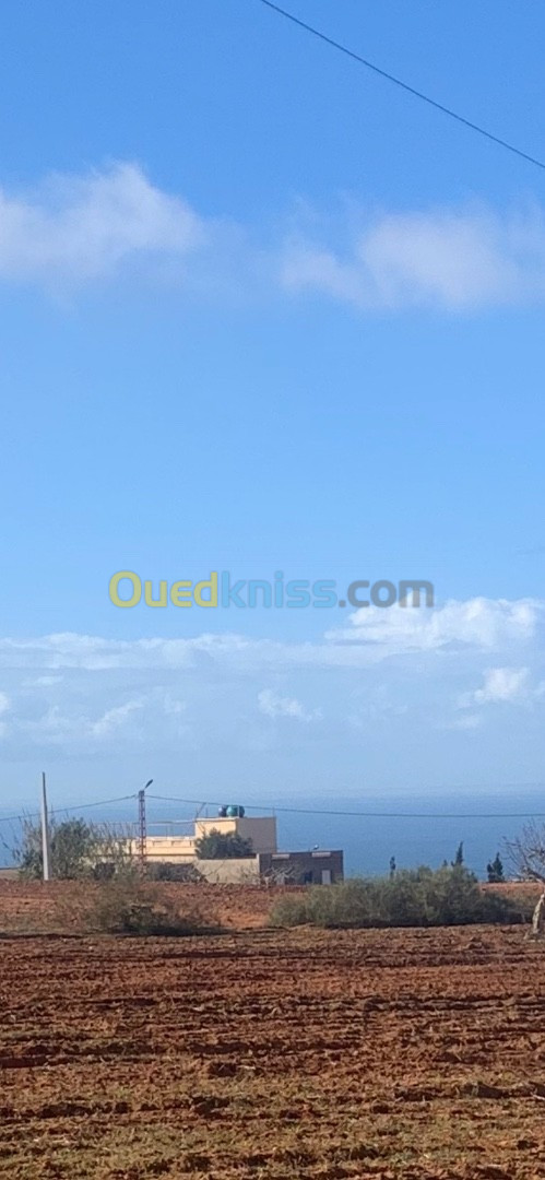 Vente Terrain Mostaganem Abdelmalek ramdane