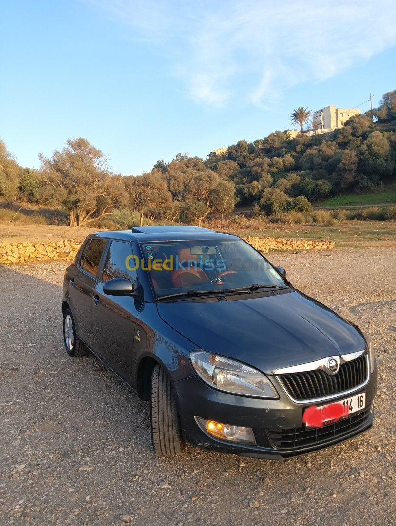 Skoda Fabia 2014 Fresh