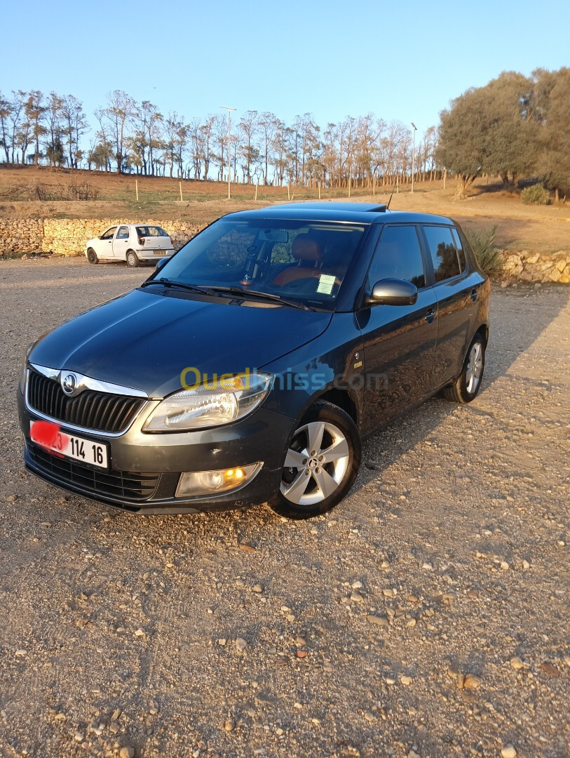 Skoda Fabia 2014 Fresh