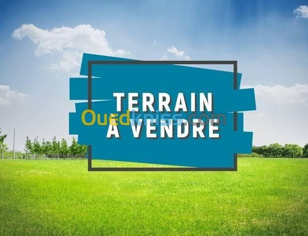 Vente Terrain Médéa Ksar boukhari