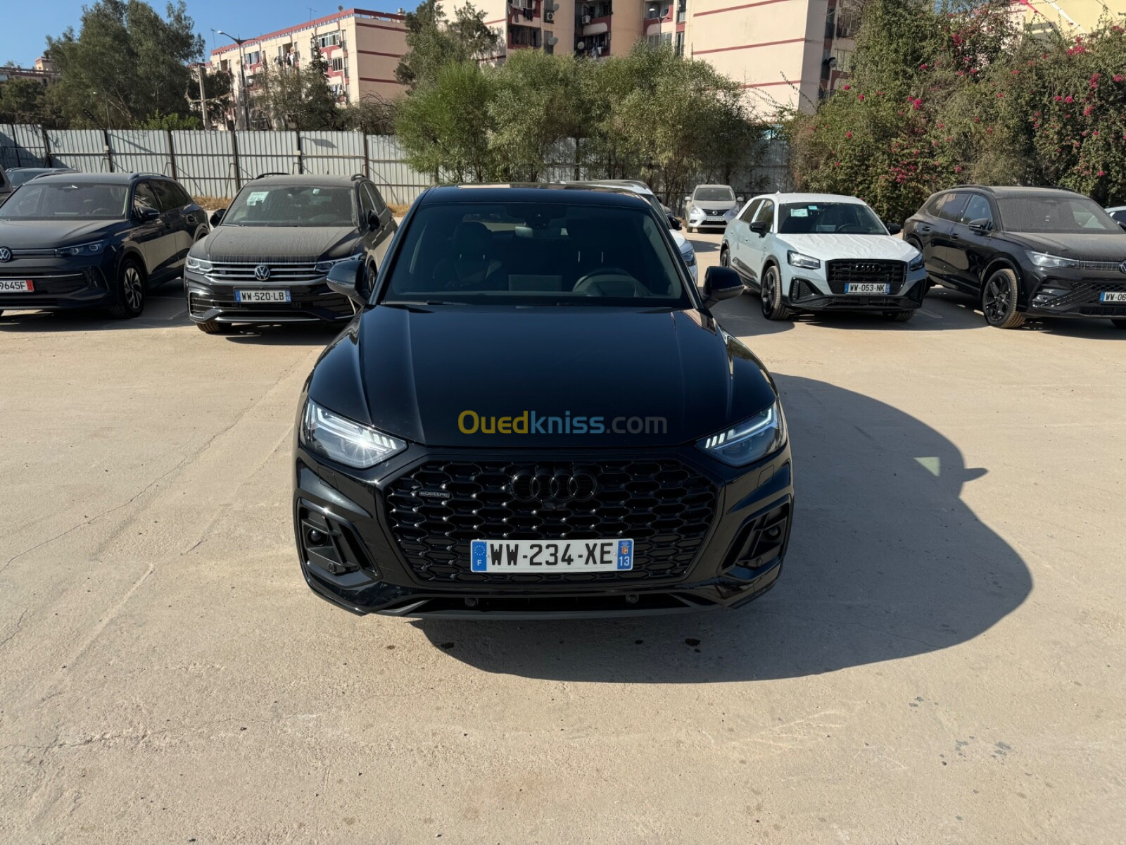 Audi Q5 2024 S Line